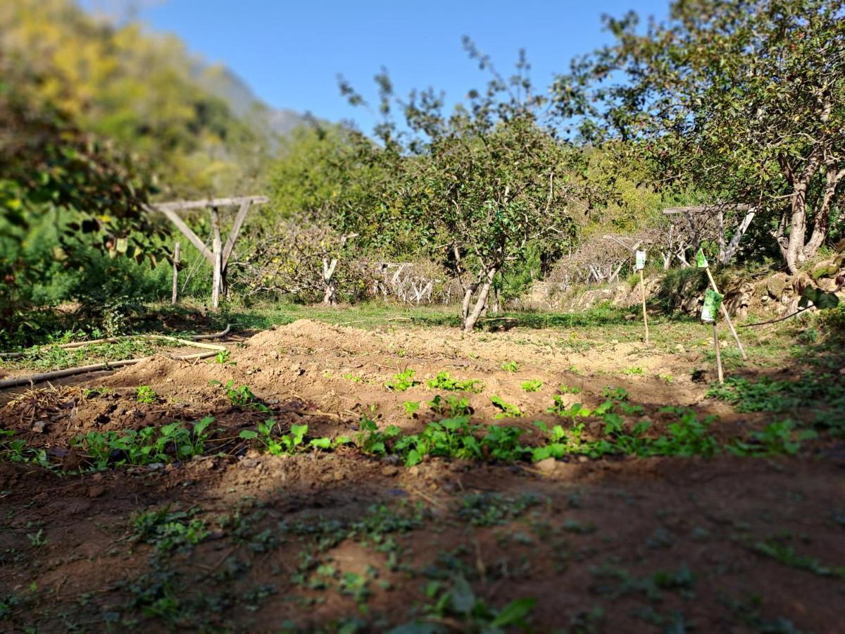 فندق Agricamping Ponteraggio N.1 دولشياكا المظهر الخارجي الصورة