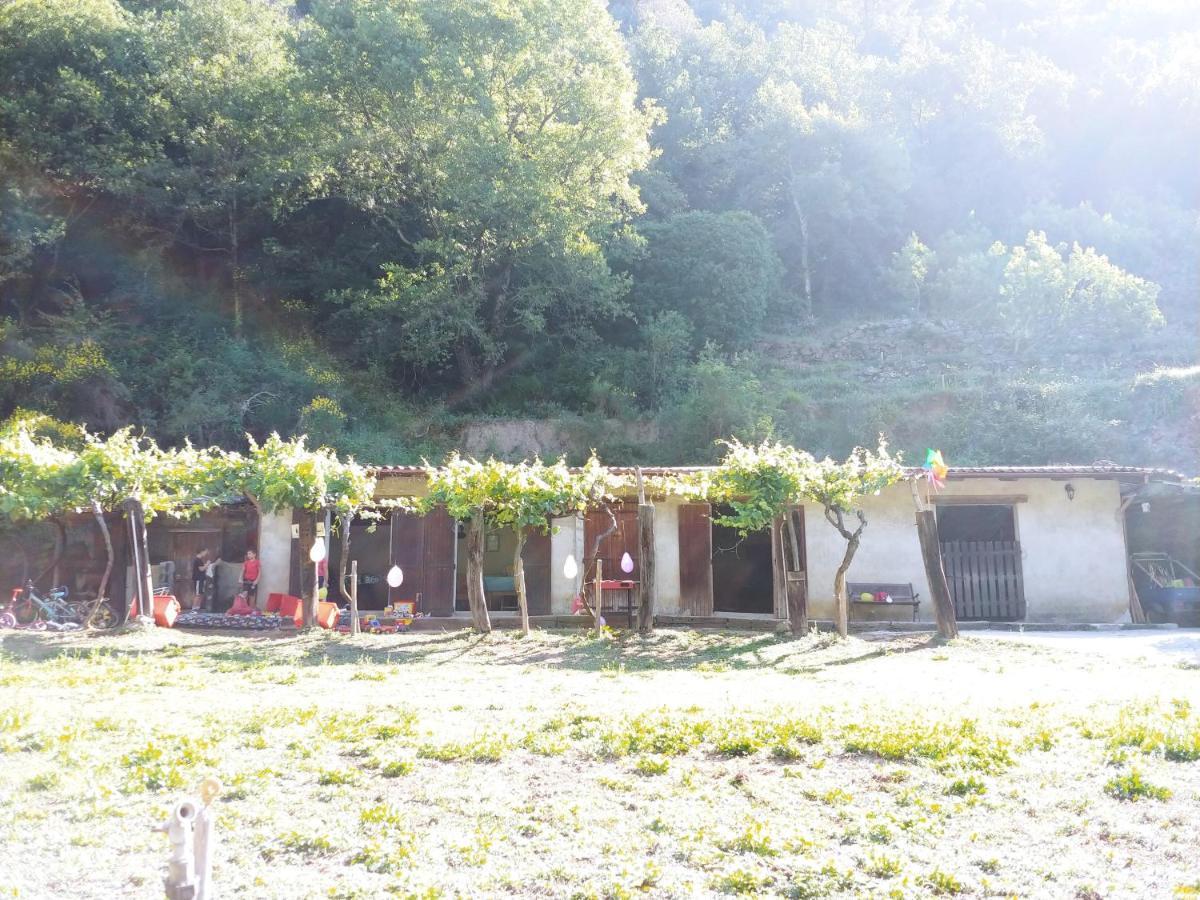 فندق Agricamping Ponteraggio N.1 دولشياكا المظهر الخارجي الصورة
