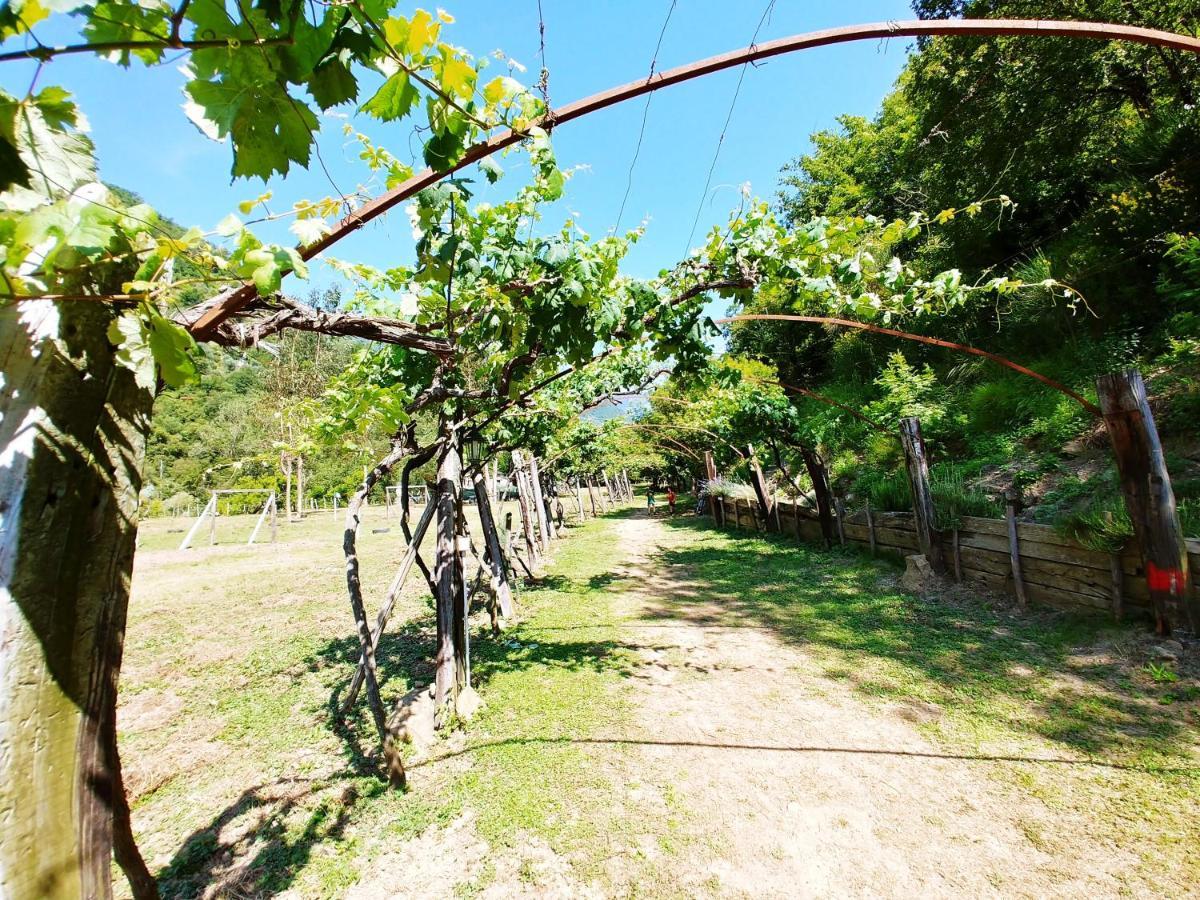 فندق Agricamping Ponteraggio N.1 دولشياكا المظهر الخارجي الصورة