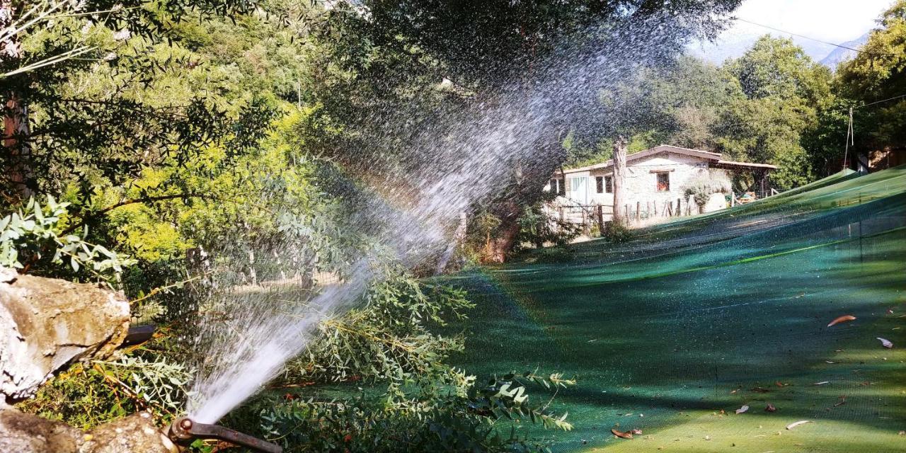 فندق Agricamping Ponteraggio N.1 دولشياكا المظهر الخارجي الصورة