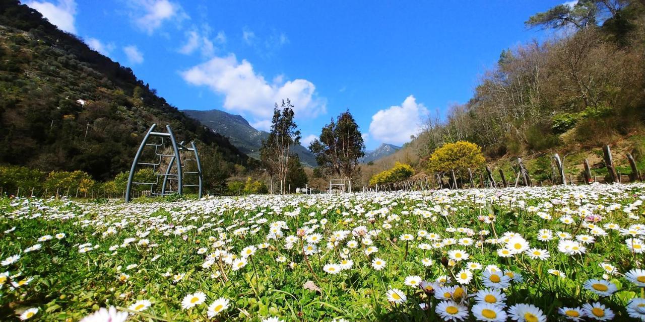 فندق Agricamping Ponteraggio N.1 دولشياكا المظهر الخارجي الصورة