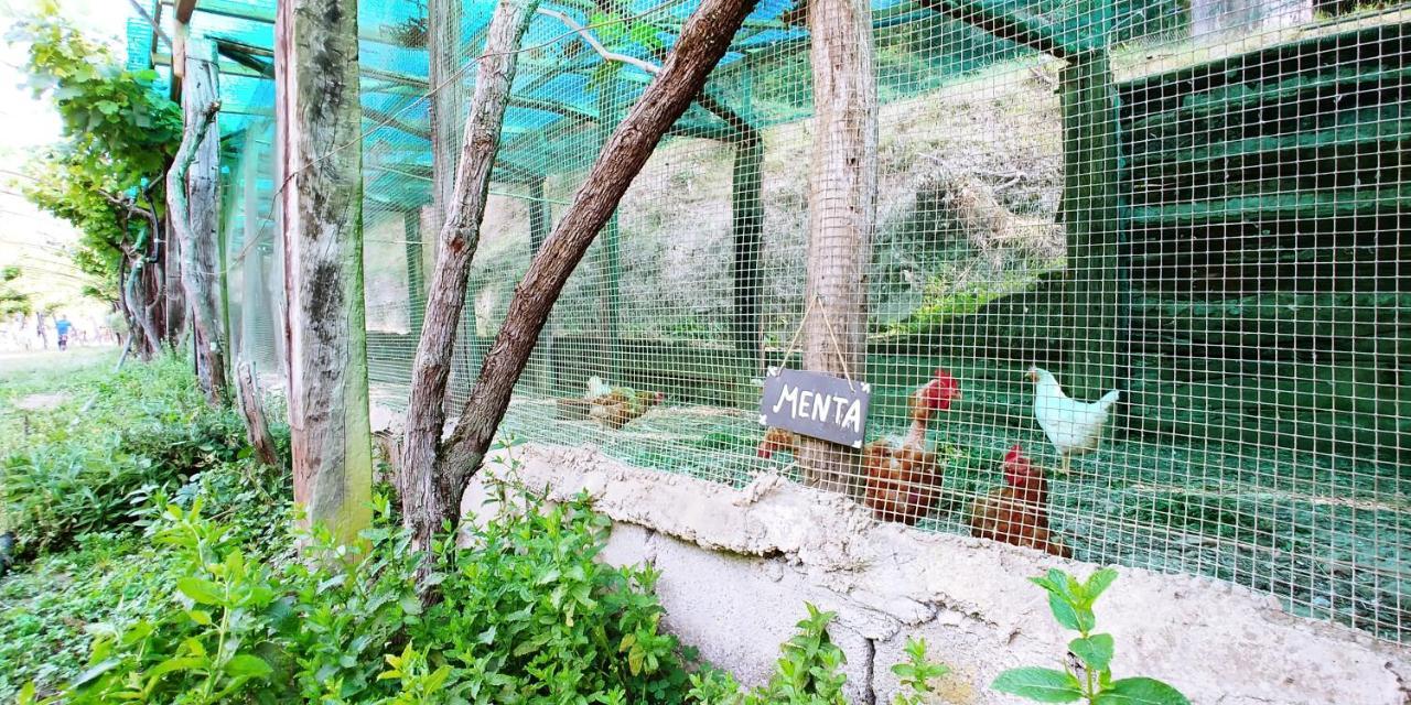 فندق Agricamping Ponteraggio N.1 دولشياكا المظهر الخارجي الصورة