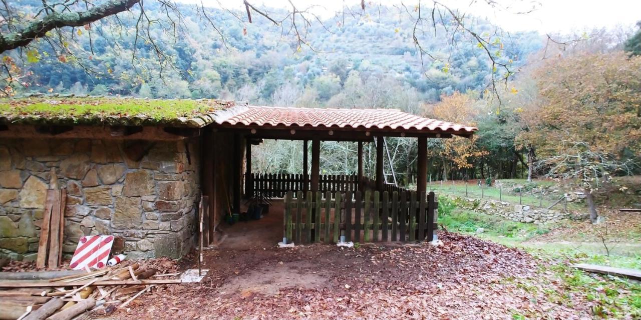 فندق Agricamping Ponteraggio N.1 دولشياكا المظهر الخارجي الصورة