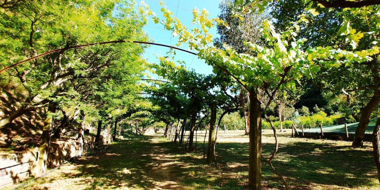 فندق Agricamping Ponteraggio N.1 دولشياكا المظهر الخارجي الصورة